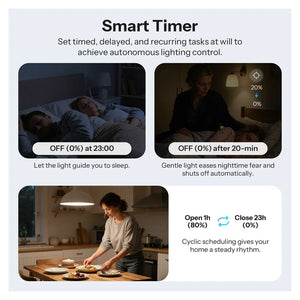 SONOFF MINI-ZBDIM official smart timer overview